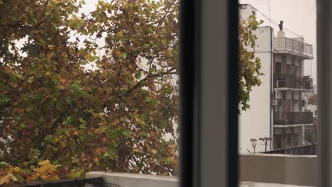 looking out the apartment balcony at the autumn trees