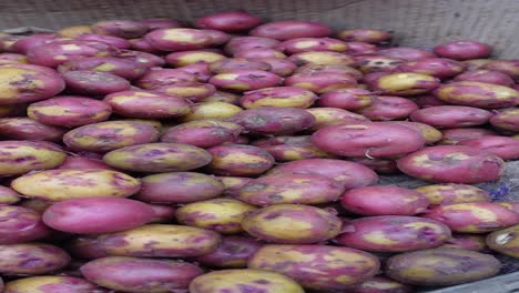 pile of red potatoes