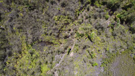 Scientists-studying-dying-trees-in-barren-land-Africa,-drone-spin-zoom-in