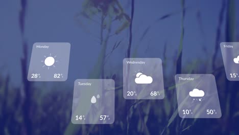 animation of weather forecast over grass