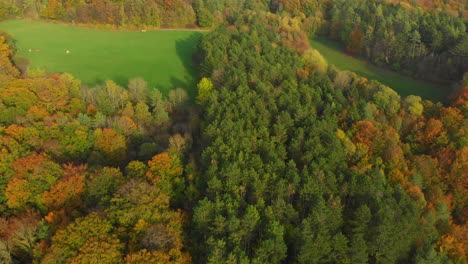 Fliegen-über-Einen-Wald-An-Einem-Goldenen-Tag-Im-Oktober-Mit-Herbstfarben