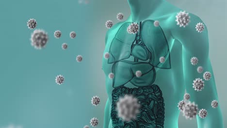 animation of falling viruses cells over human body model