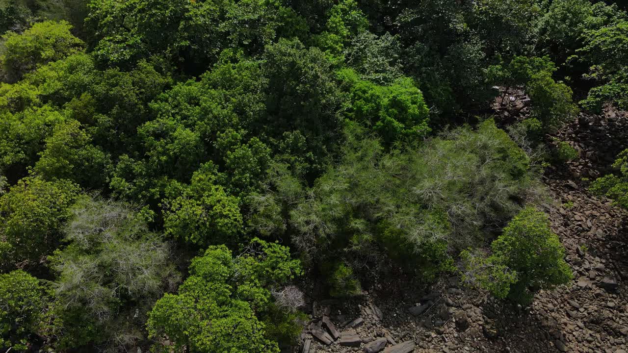 terreno rocoso y verde vegetación salvaje tropical vista aérea avanzando tailandia