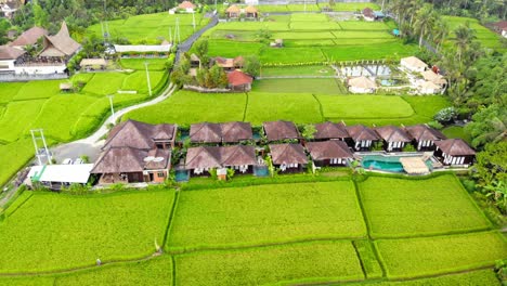 scenic-rice-fields-and-small-traditional-Balinese-huts-nestled-amidst-the-rice-paddies,-showcasing-the-idyllic-rural-landscape-of-Bali,-Indonesia