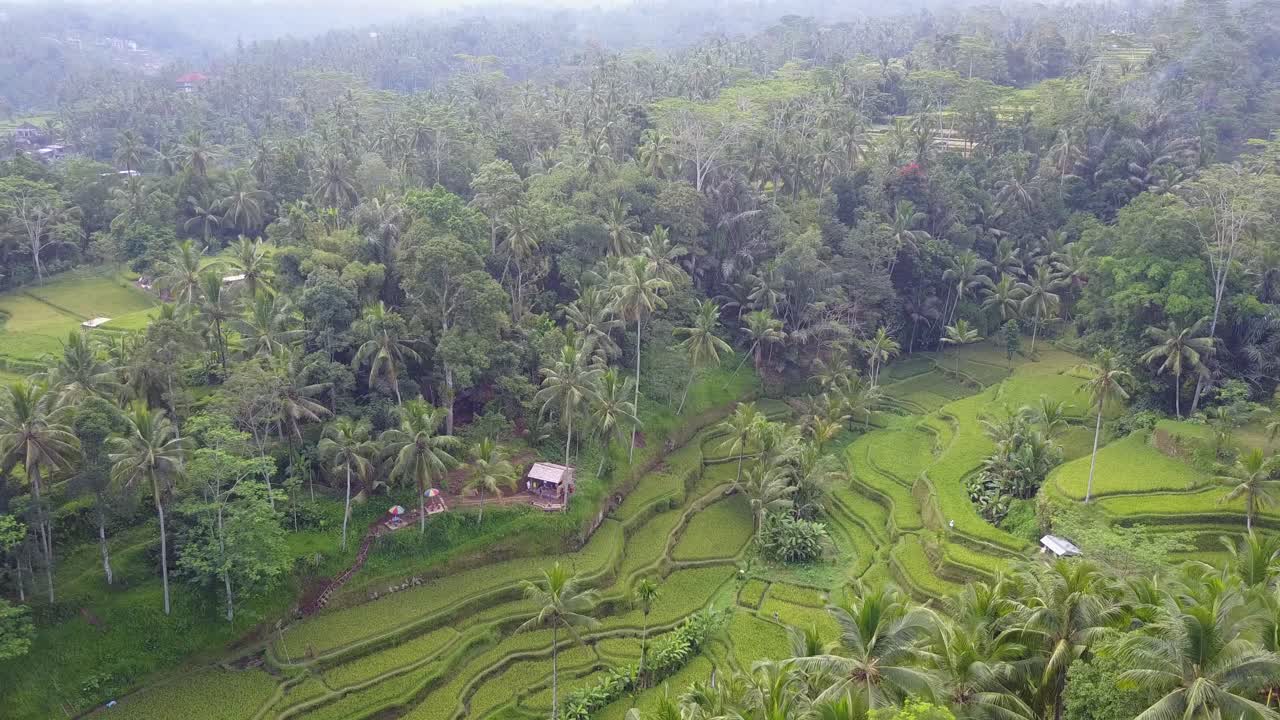las laderas del valle fueron artísticamente terraplenadas para la cosecha de arroz verde brillante