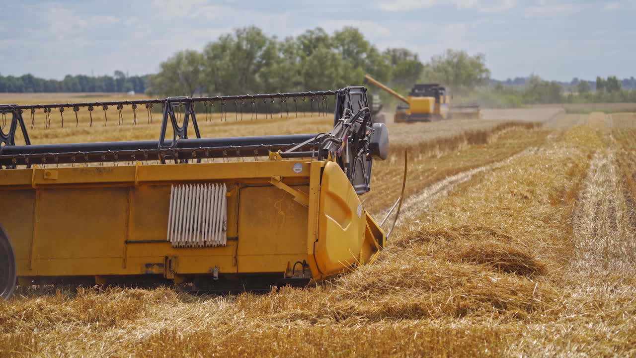 Agricultural works on the yellow field in summer. Modern equipment of machinery working in the countryside. Combine harvester gathering ripe grains.