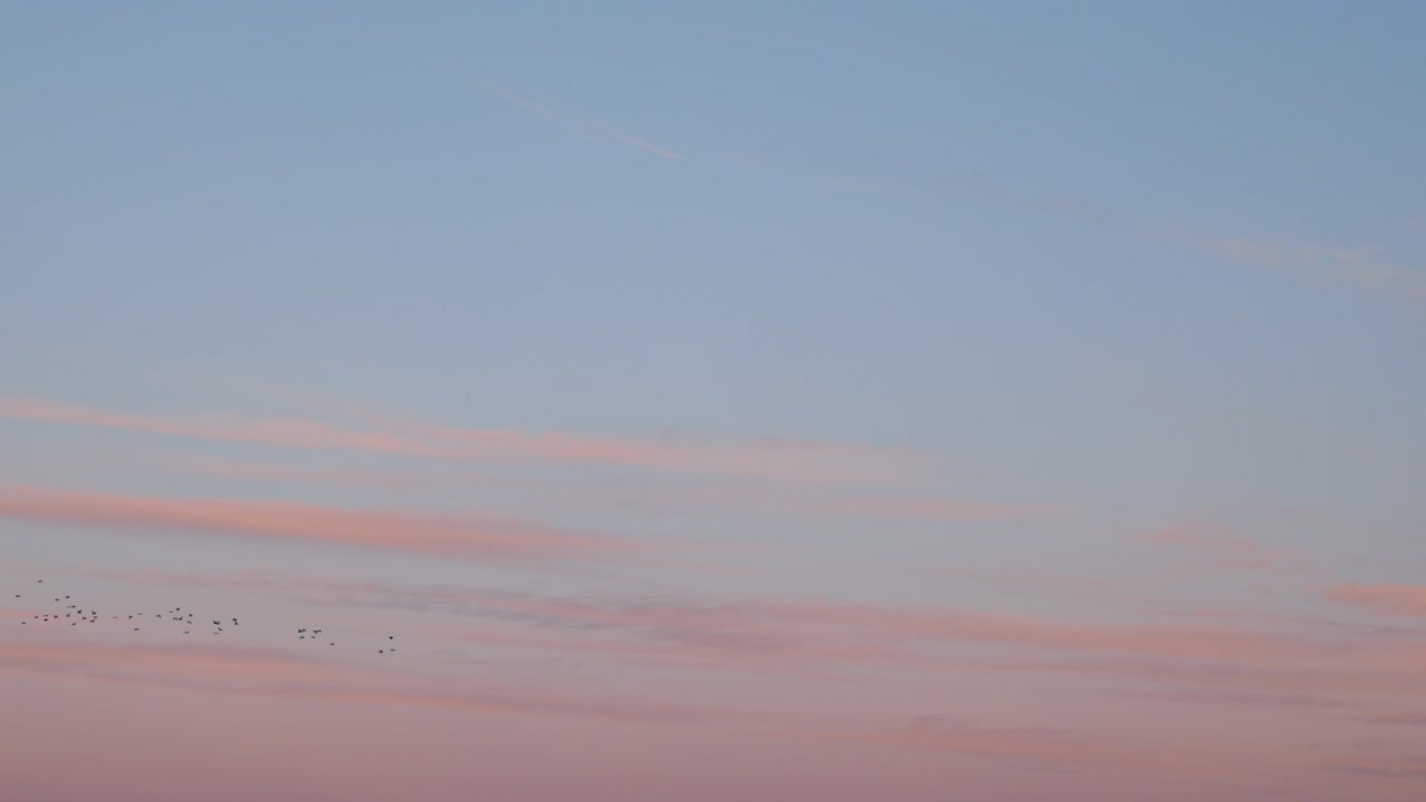 Australia - Birds flying over sunset