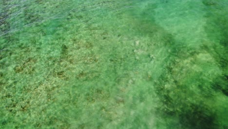 España-Islas-Canarias-Playa-Coralejo