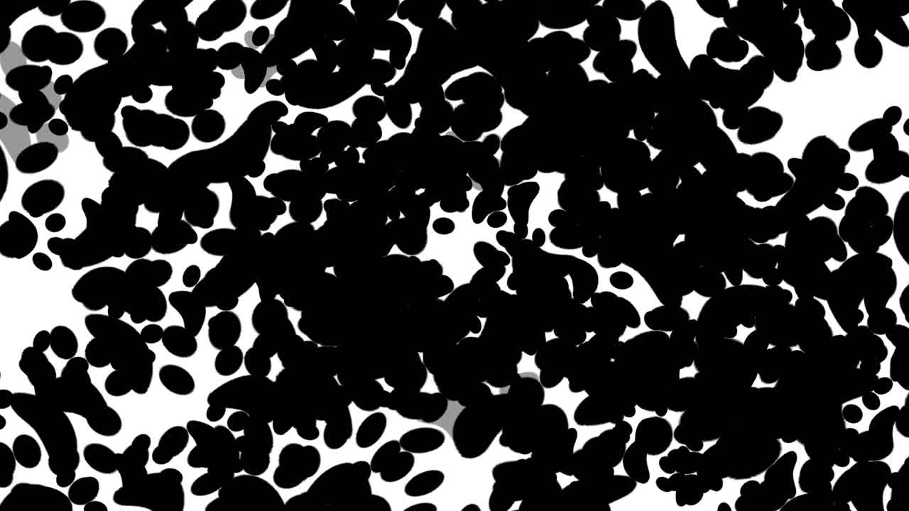 las huellas de las patas de los animales, las huellas de los pies de los perros y los gatos, la transición 4k.