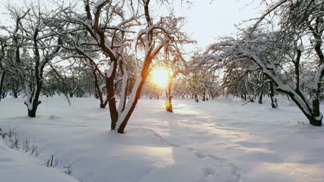 Nordischer-Winterlandschaftsflug-Aus-Der-Luft-über-Den-Verschneiten-Bergwald-Bei-Sonnenuntergang.