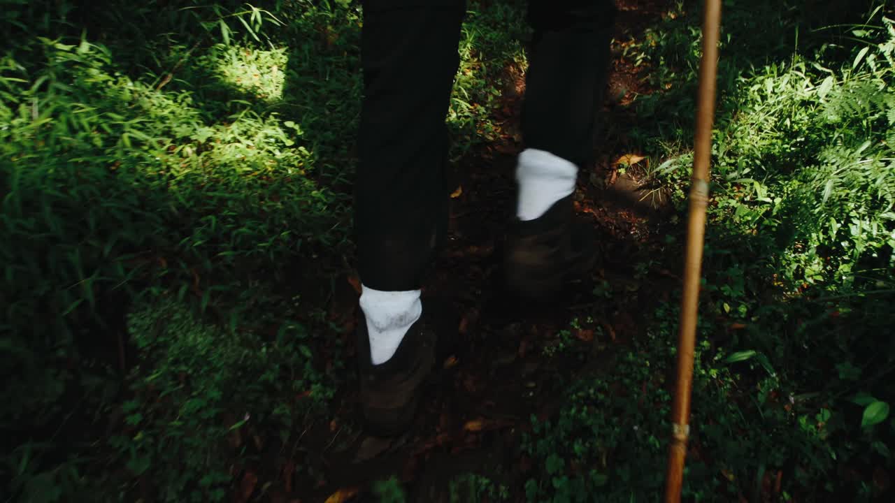 하이킹 스틱을 사용하여 트레일에서 숲을 걷는 등산객