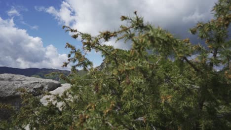 Aufsteigende-Drohnenaufnahme-Auf-Dem-Belintash-Plateau,-Die-Die-Natürlichen-Felsformationen-Und-Die-Rhodopen-Im-Hintergrund-In-Der-Provinz-Plovdive-In-Bulgarien-Zeigt