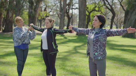 women doing stretching exercises in a park