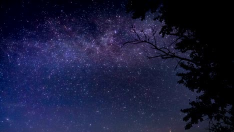 starry sky time lapse of the milky way