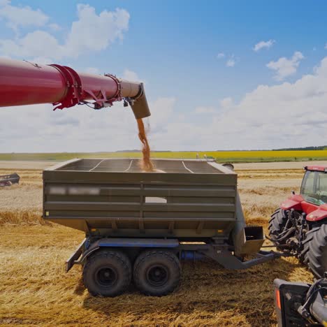 overloading grain into tractor trailer