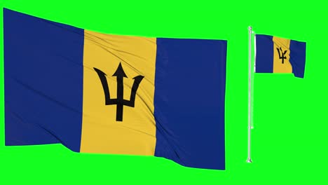zielony ekran macha flagą lub słupem flagi barbadosu