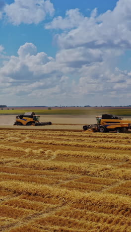 agricultural works on yellow field under blue sky. modern combine harvesters gathering ripe wheat in the farmland in summer. camera moves forward. vertical video