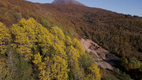 impresionante follaje colorido de árboles del bosque alpino en otoño