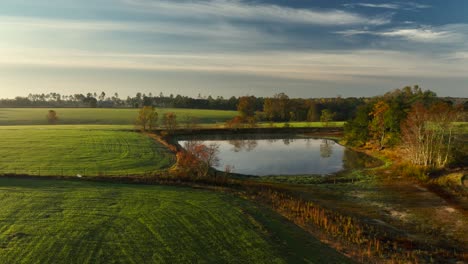 drone view of pond on alabama farm in the morning