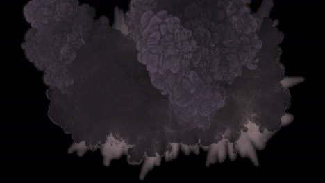 purple and dark ink explosion