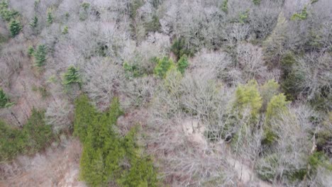 Pista-De-Drones-De-Dunas-De-Arena-A-Principios-De-Primavera-En-El-Parque-Del-Puerto-Del-Lago