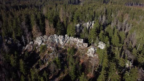 volando sobre una extensa formación rocosa en el bosque