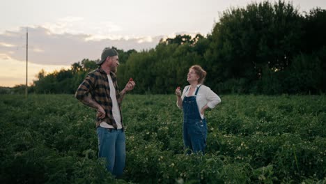 un granjero feliz con una camisa a cuadros se comunica y ríe con su colega, una chica con un mono de vaqueros. se comen un tomate entre las plantas del campo.