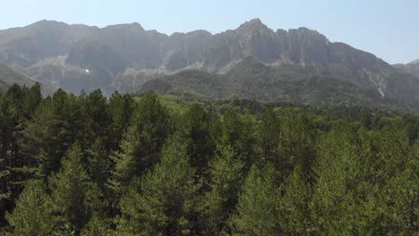 Drohnenvideo,-Das-über-Bäume-Fliegt-Und-Den-Mount-Tymphe-Tymfi,-Griechenland,-An-Einem-Sonnigen-Sommertag-Enthüllt