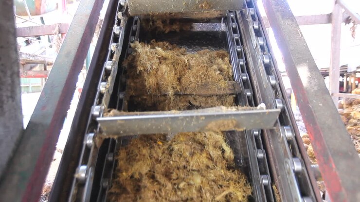 Production machine working and producing palm oil in a huge factory in Malaysia
