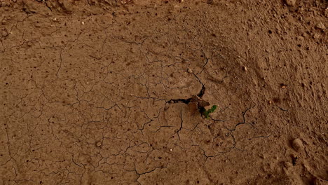 raining-on-dry-dirt