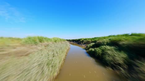 fpv drone shot following a narrow stream of water in a natural park under a beautiful clear blue sky