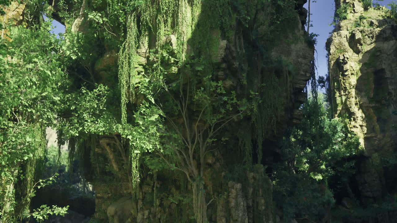 Vibrant green canyon with sunlight illuminating the cliffs