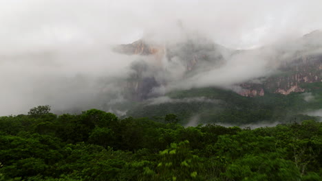 dense rainforest with angel falls in the background at misty sunrise in canaima, venezuela