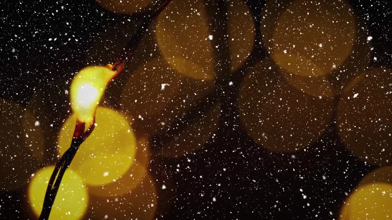 흐릿한 조명 위에 눈이 있는 비디오 구성