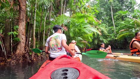 kayaking through a tropical jungle river