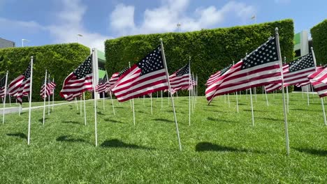 patriotic display of american flags outside the newport beach library, civic center, and sculpture garden