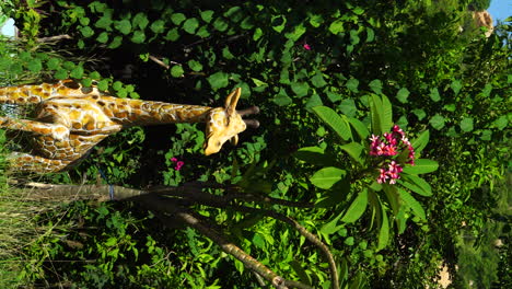 Gefälschte-Giraffenstatue,-Die-Vor-Einem-Lebendigen-Grünen-Dschungel-In-Vietnam-Steht,-Vertikales-Video