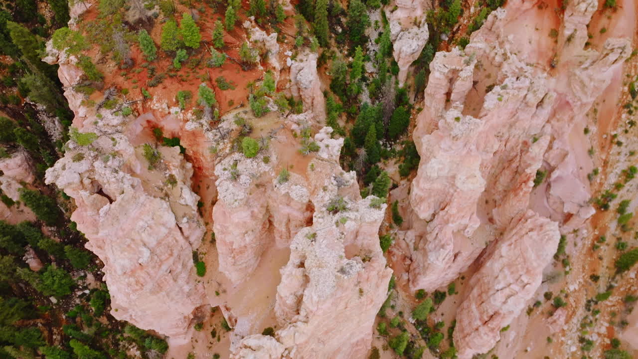 Amazing high column rocks of coral color in National Bryce Park, Utah, USA. Drone footage over the cliff rocks overgrown with pine trees. Top view.