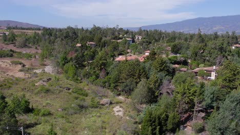 bienvenido al reino de la naturaleza árida, donde la resiliencia se encuentra con la belleza en los lugares más inesperados.