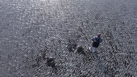 filmmaker learning how to fly a drone in a desolated beach