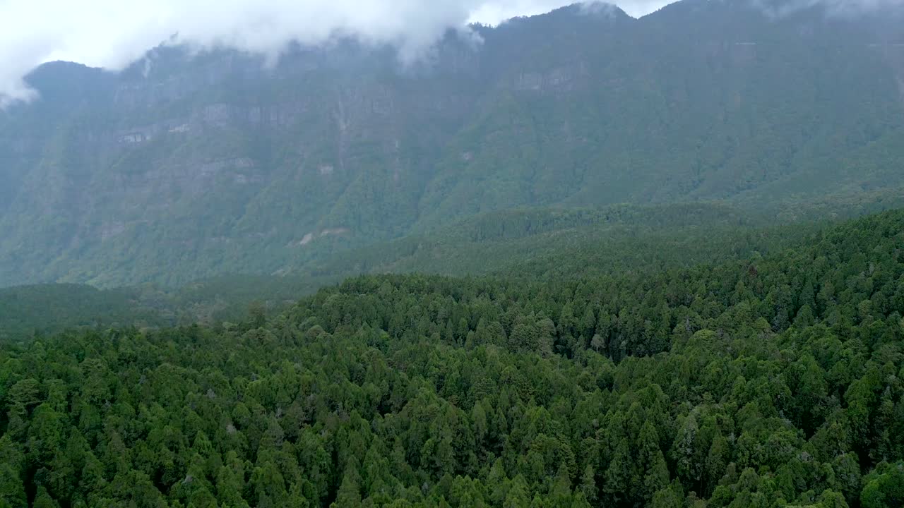 Panoramic aerial view of the forested mountains of Alishan District in Taiwan.