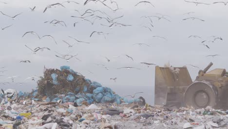 pájaros volando sobre vehículos limpiando basura apilada en un vertedero lleno de basura