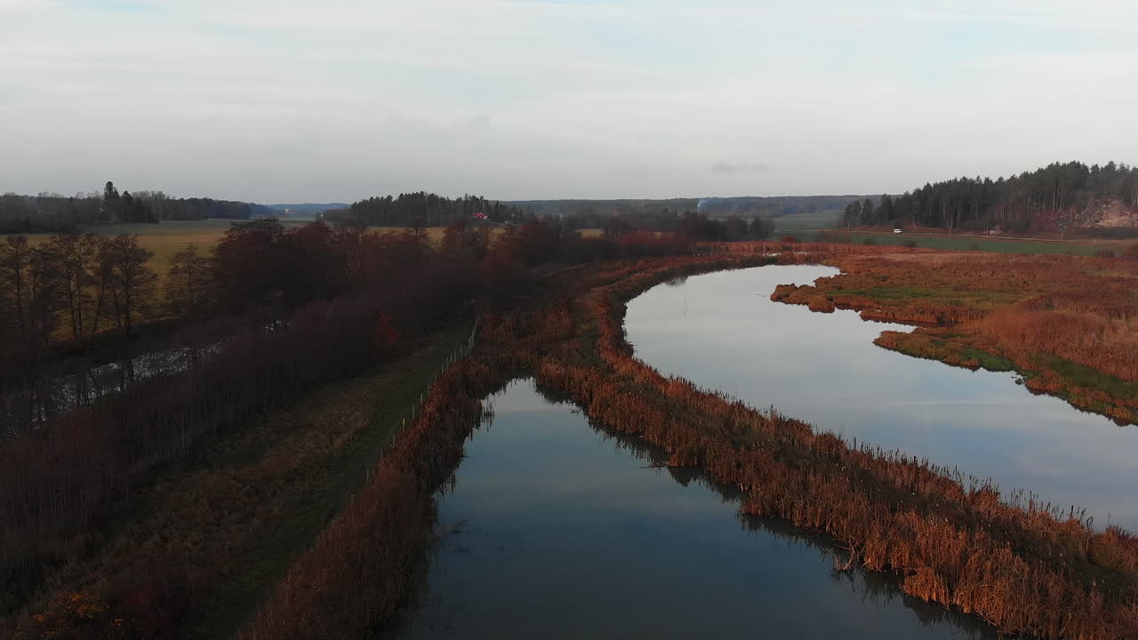 Stigende droneoptagelser over vådområde dækket af rør