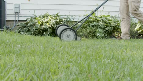 using a push lawn mower to cuts grass