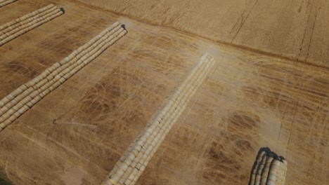 ripe grain field. part of the field has been harvested with a combine. the straw is collected in a roll and stacked in a pyramid at the edge of the field. aerial photography