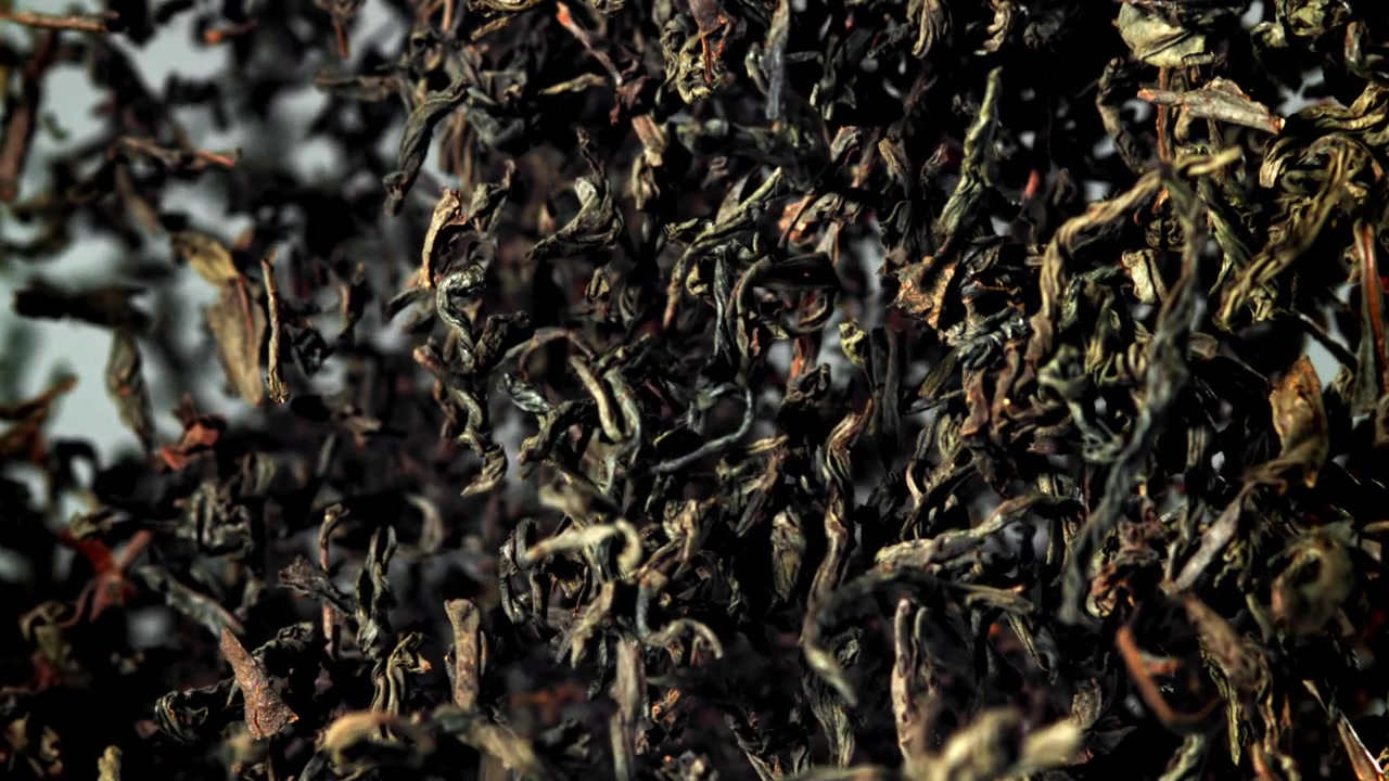 Foglie di tè nero essiccate in caduta in super slow motion