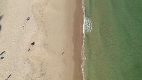 perspectiva aérea de mitad arena dorada y mitad mar verde aguamarina