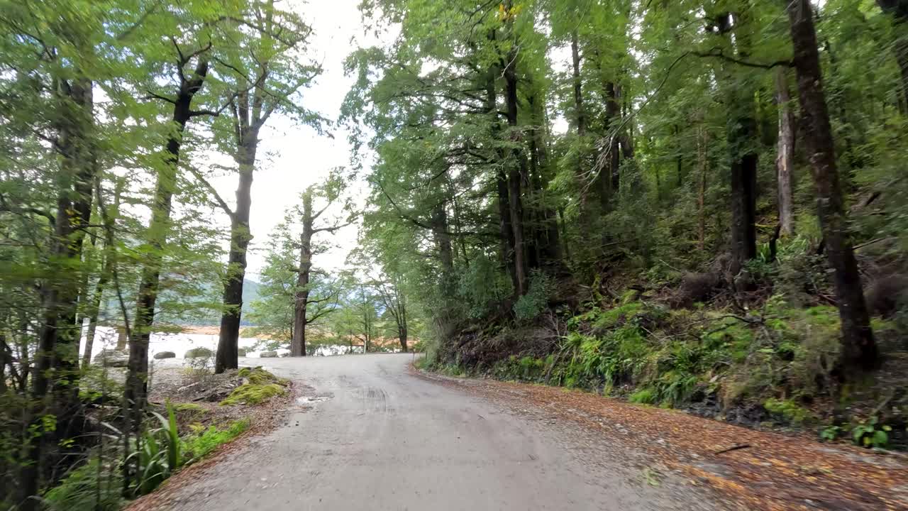 Vehicle travels on winding gravel road through lush forest beside scenic lake, daylight, steady camera