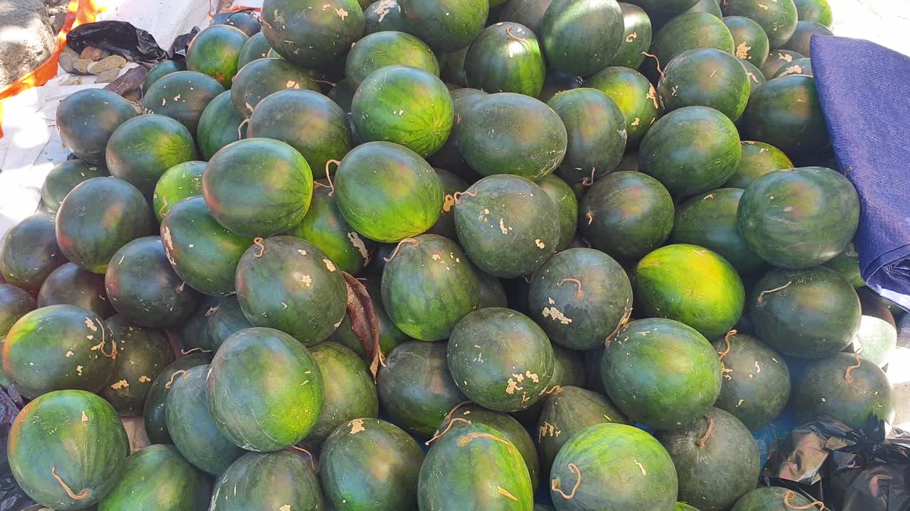 gran pila de sandías verdes frescas maduras en el mercado local de frutas y verduras en el destino de la isla tropical