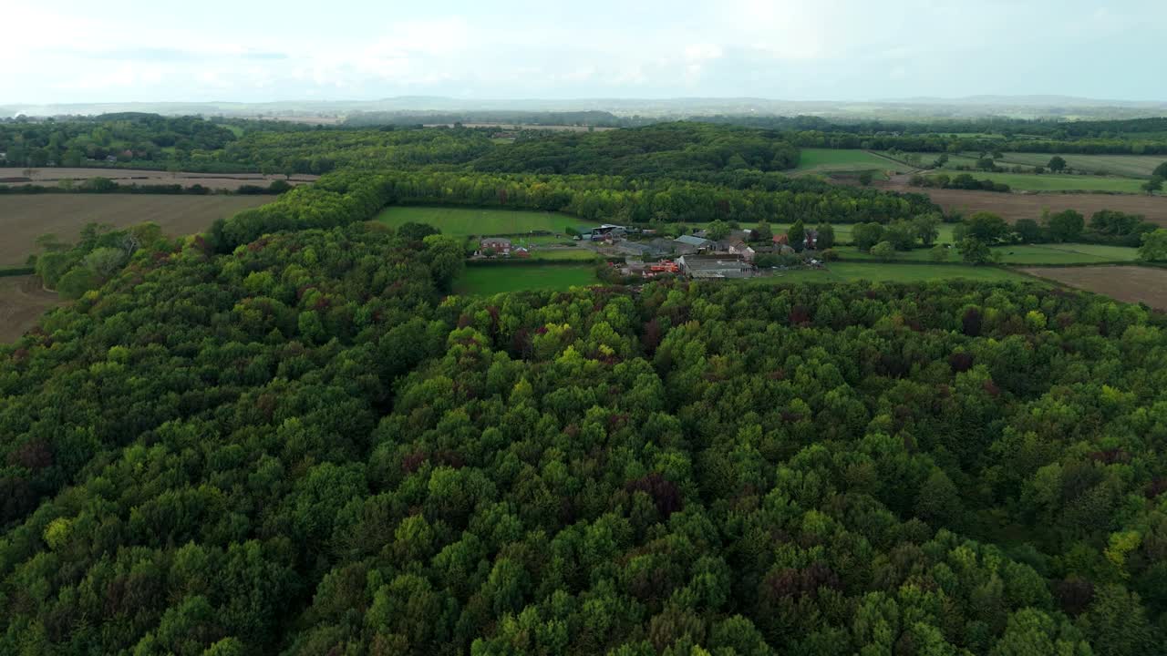 Aerial view of expansive green forest woodland canopy and small house nestled in the rolling landscape near Leicester, United Kingdom